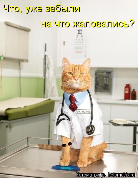 Котоматрица: Что, уже забыли на что жаловались?
