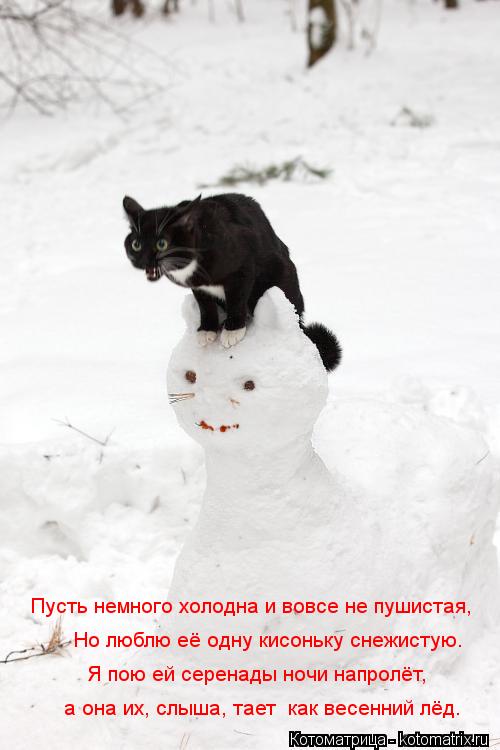 а она их, слыша, тает как весенний лёд. Я пою ей серенады ночи напролёт, Но люблю её одну кисоньку ... Котоматрица: а она их, слыша, тает как весенний лёд. Я пою ей серенады ночи напролёт, Но люблю её одну кисоньку снежистую. Пусть немного холодна и вовсе н