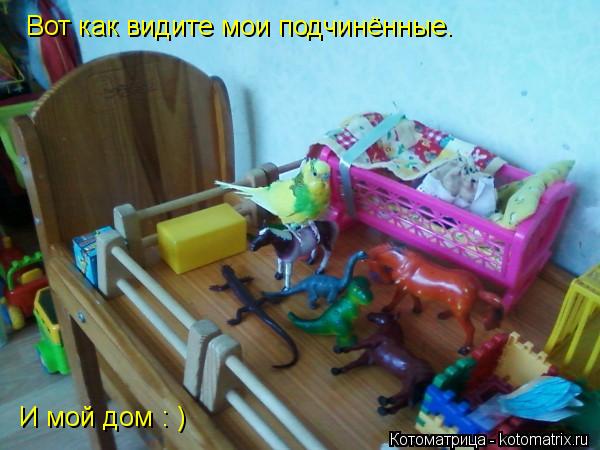 Котоматрица: Вот как видите мои подчинённые. И мой дом : )