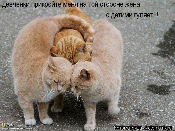 девченки прикройте меня на той стороне жена с детими гуляет!!!... Котоматрица: девченки прикройте меня на той стороне жена с детими гуляет!!!