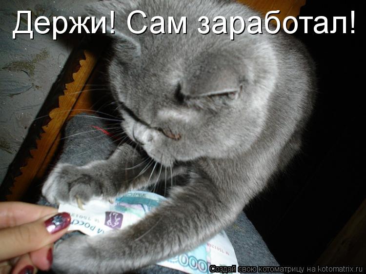 Котоматрица: Держи! Сам заработал!