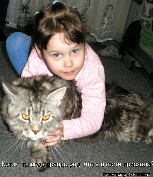 Котоматрица: Котик, ты ведь правда рад ,что я в гости приехала?