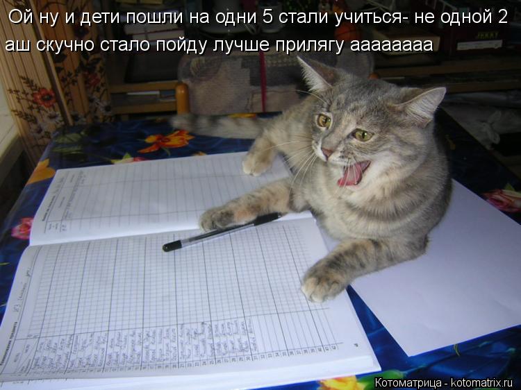 Ой ну и дети пошли на одни 5 стали учиться- не одной 2 аш скучно стало пойду лучше прилягу аааааааа а... Котоматрица: Ой ну и дети пошли на одни 5 стали учиться- не одной 2 аш скучно стало пойду лучше прилягу аааааааа аш скучно стало пойду лучше прилягу аааааа