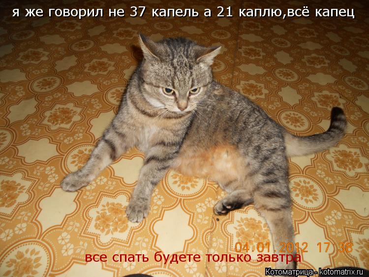Котоматрица: я же говорил не 37 капель а 21 каплю,всё капец  все спать будете только завтра