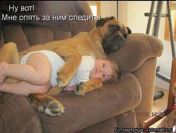 Ну вот! Мне опять за ним следить!... Котоматрица: Ну вот! Мне опять за ним следить!