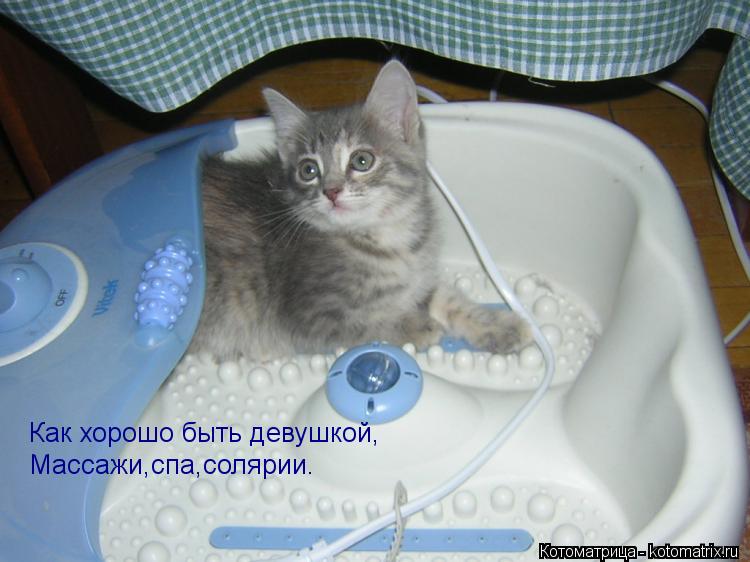 Котоматрица: Массажи,спа,солярии. Как хорошо быть девушкой,
