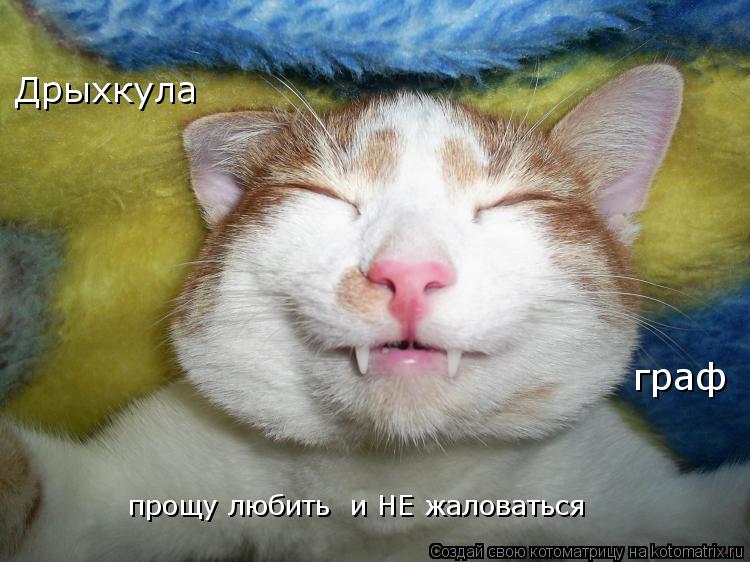 Дрыхкула граф прощу любить и НЕ жаловаться... Котоматрица: Дрыхкула граф прощу любить и НЕ жаловаться