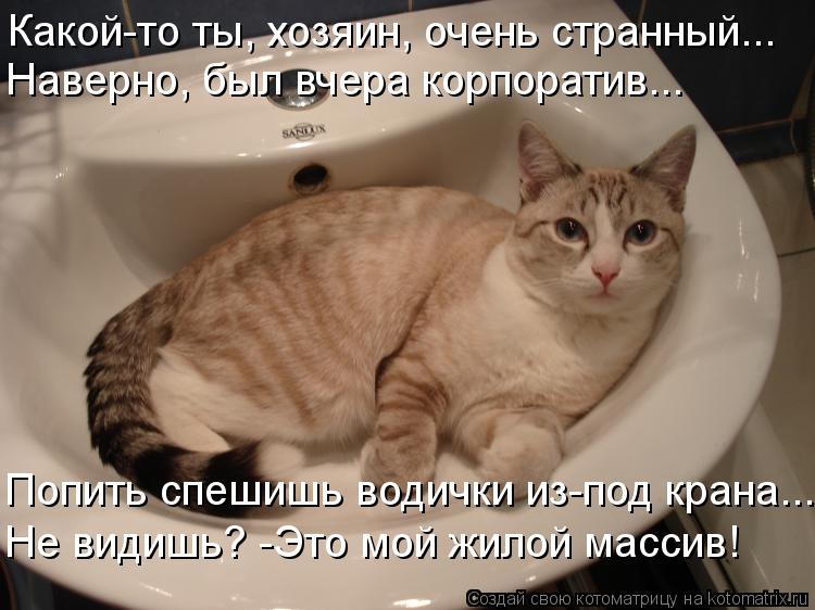 Какой-то ты, хозяин, очень странный... Наверно, был вчера корпоратив... Попить спешишь водички из-под... Котоматрица: Какой-то ты, хозяин, очень странный... Наверно, был вчера корпоратив... Попить спешишь водички из-под крана... Не видишь? -Это мой жилой массив!