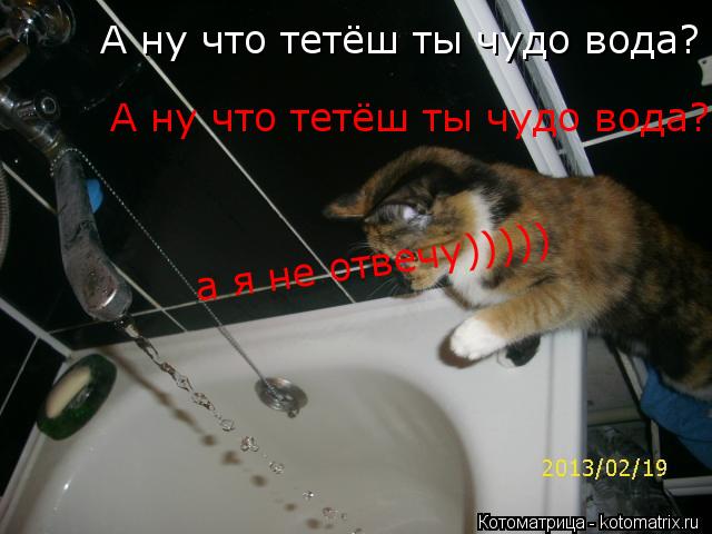 Котоматрица: А ну что тетёш ты чудо вода? А ну что тетёш ты чудо вода? а я не отвечу)))))