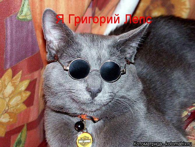 Я Григорий Лепс... Котоматрица: Я Григорий Лепс