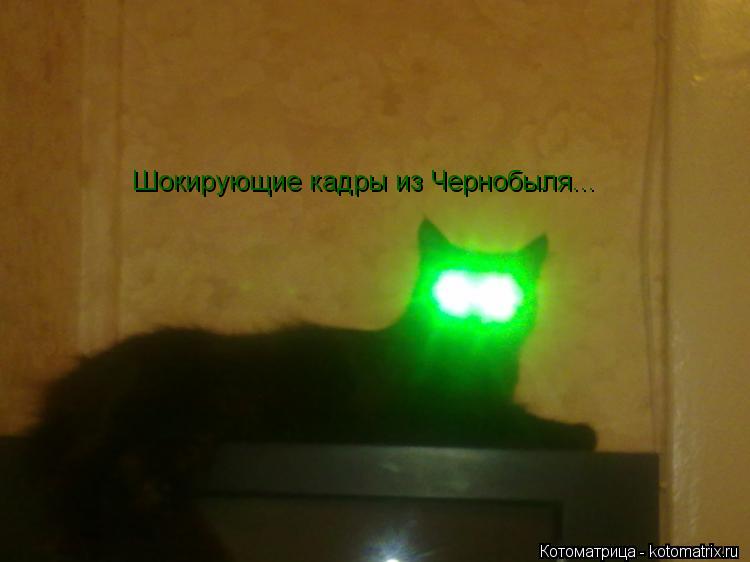 Котоматрица: Шокирующие кадры из Чернобыля...