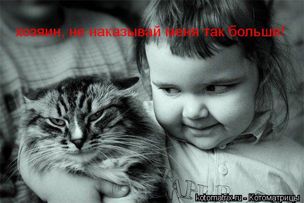 хозяин, не наказывай меня так больше!... Котоматрица: хозяин, не наказывай меня так больше!