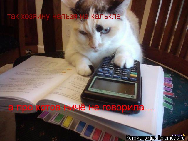 так хозяину нельзя на калькле а про котов ничё не говорила....... Котоматрица: так хозяину нельзя на калькле а про котов ничё не говорила....