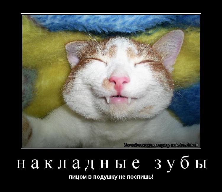 накладные зубы лицом в подушку не поспишь!... Котоматрица: накладные зубы лицом в подушку не поспишь!