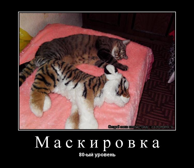 Маскировка 80-ый уровень... Котоматрица: Маскировка 80-ый уровень