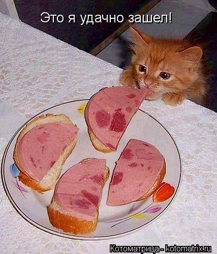 Это я удачно зашел!... Котоматрица: Это я удачно зашел!