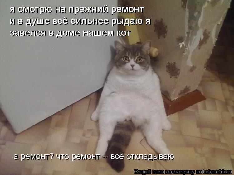 я смотрю на прежний ремонт и в душе всё сильнее рыдаю я завелся в доме нашем кот а ремонт? что ремон... Котоматрица: я смотрю на прежний ремонт и в душе всё сильнее рыдаю я завелся в доме нашем кот а ремонт? что ремонт -- всё откладываю