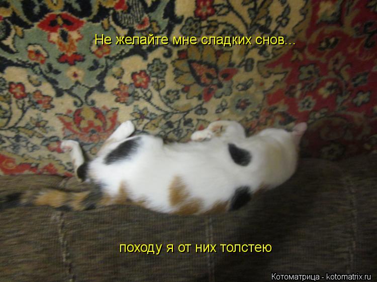 Не желайте мне сладких снов... походу я от них толстею... Котоматрица: Не желайте мне сладких снов... походу я от них толстею