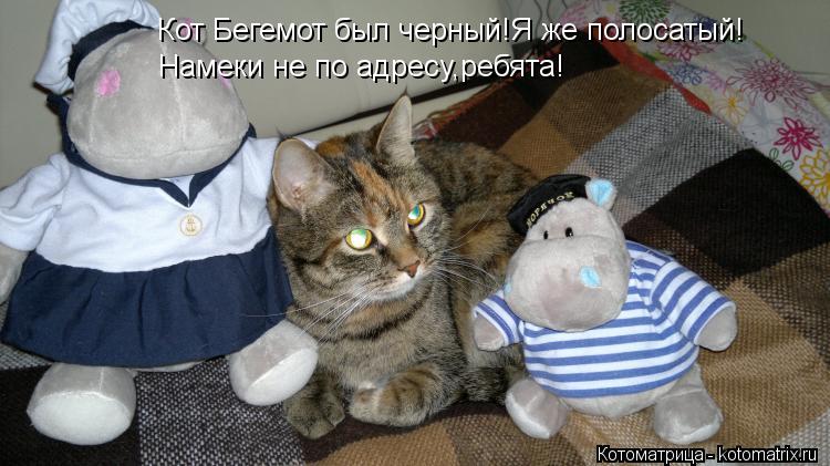 Кот Бегемот был черный!Я же полосатый! Намеки не по адресу,ребята!... Котоматрица: Кот Бегемот был черный!Я же полосатый! Намеки не по адресу,ребята!