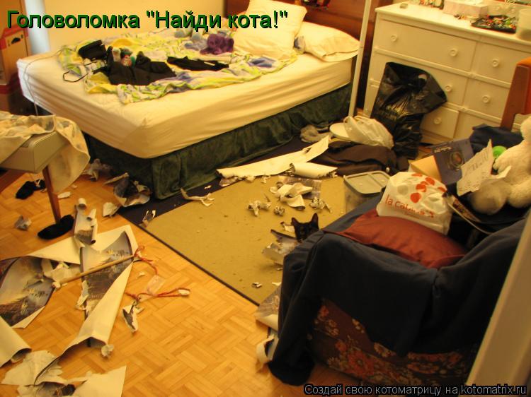 Котоматрица: Головоломка "Найди кота!"