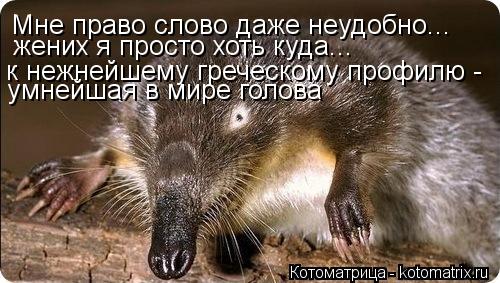 Мне право слово даже неудобно... к нежнейшему греческому профилю - умнейшая в мире голова жених я про... Котоматрица: Мне право слово даже неудобно... к нежнейшему греческому профилю - умнейшая в мире голова жених я просто хоть куда...