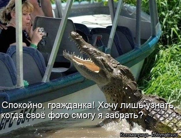 Спокойно, гражданка! Хочу лишь узнать, когда своё фото смогу я забрать?... Котоматрица: Спокойно, гражданка! Хочу лишь узнать, когда своё фото смогу я забрать?