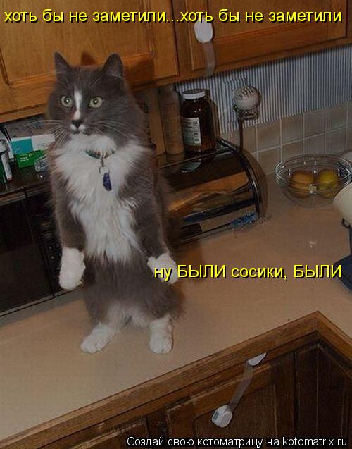 хоть бы не заметили...хоть бы не заметили ну БЫЛИ сосики, БЫЛИ... Котоматрица: хоть бы не заметили...хоть бы не заметили ну БЫЛИ сосики, БЫЛИ