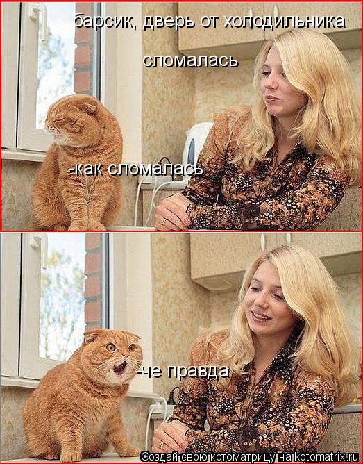 барсик, дверь от холодильника сломалась -как сломалась -че правда... Котоматрица: барсик, дверь от холодильника сломалась -как сломалась -че правда