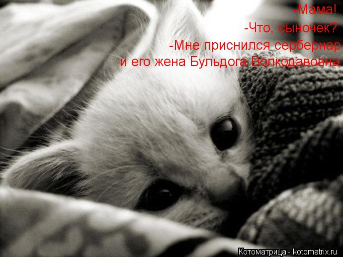 -Что, сыночек? -Мама! -Мне приснился сербернар и его жена Бульдога Волкодавовна... Котоматрица: -Что, сыночек? -Мама! -Мне приснился сербернар и его жена Бульдога Волкодавовна
