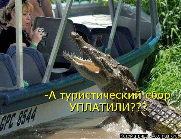 -А туристический сбор УПЛАТИЛИ???... Котоматрица: -А туристический сбор УПЛАТИЛИ???