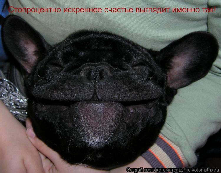 Стопроцентно искреннее счастье выглядит именно так!... Котоматрица: Стопроцентно искреннее счастье выглядит именно так!