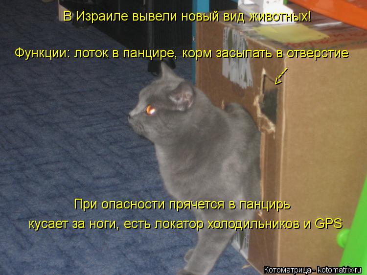 В Израиле вывели новый вид животных! Функции: лоток в панцире, корм засыпать в отверстие ---> При оп... Котоматрица: В Израиле вывели новый вид животных! Функции: лоток в панцире, корм засыпать в отверстие ---> При опасности прячется в панцирь кусает за ноги,