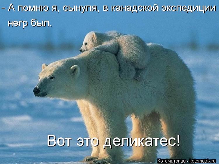 - А помню я, сынуля, в канадской экспедиции негр был. Вот это деликатес!... Котоматрица: - А помню я, сынуля, в канадской экспедиции негр был. Вот это деликатес!
