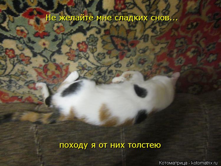 Не желайте мне сладких снов... походу я от них толстею... Котоматрица: Не желайте мне сладких снов... походу я от них толстею