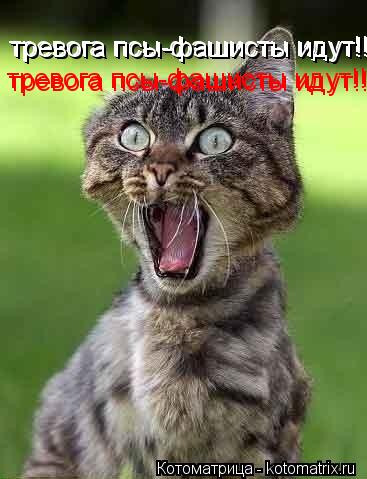 тревога псы-фашисты идут!!!!!!!!! тревога псы-фашисты идут!!!!!!!!! тревога псы-фашисты идут!!!!!!!!!... Котоматрица: тревога псы-фашисты идут!!!!!!!!! тревога псы-фашисты идут!!!!!!!!! тревога псы-фашисты идут!!!!!!!!! тревога псы-фашисты идут!!!!!!!!!