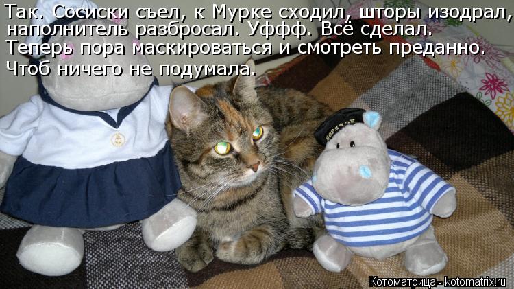 Так. Сосиски съел, к Мурке сходил, шторы изодрал, наполнитель разбросал. Уффф. Всё сделал. Теперь по... Котоматрица: Так. Сосиски съел, к Мурке сходил, шторы изодрал, наполнитель разбросал. Уффф. Всё сделал. Теперь пора маскироваться и смотреть преданно. Чт