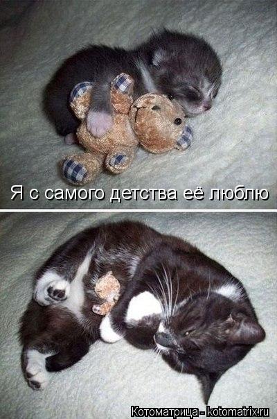 Я с самого детства её люблю... Котоматрица: Я с самого детства её люблю