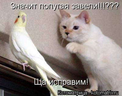 :   !!!???  !