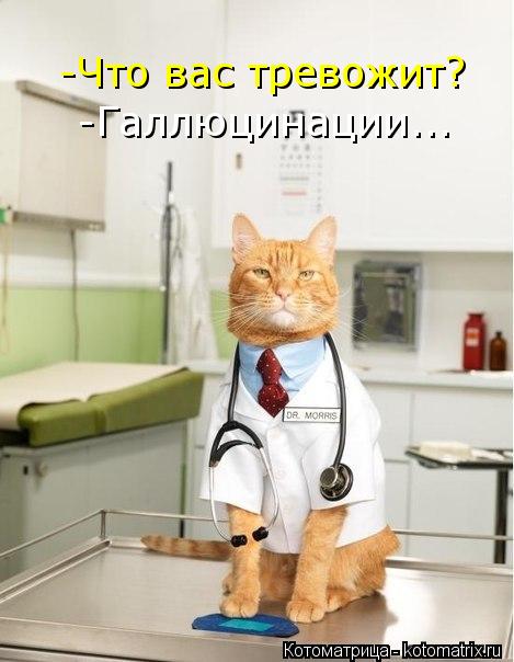 -Что вас тревожит? -Галлюцинации...... Котоматрица: -Что вас тревожит? -Галлюцинации...