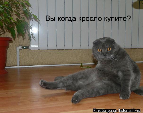 Вы когда кресло купите?... Котоматрица: Вы когда кресло купите?