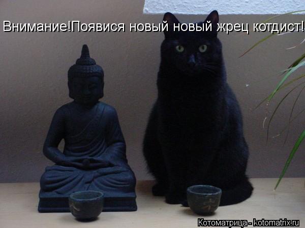 Котоматрица: Внимание!Появися новый новый жрец котдист!