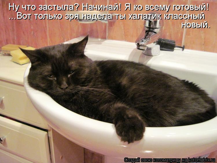 Ну что застыла? Начинай! Я ко всему готовый! ...Вот только зря надела ты халатик классный новый.... Котоматрица: Ну что застыла? Начинай! Я ко всему готовый! ...Вот только зря надела ты халатик классный новый.