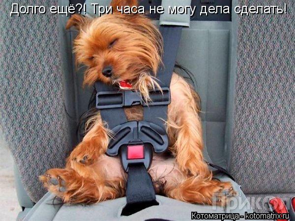 Долго ещё?! Три часа не могу дела сделать!... Котоматрица: Долго ещё?! Три часа не могу дела сделать!