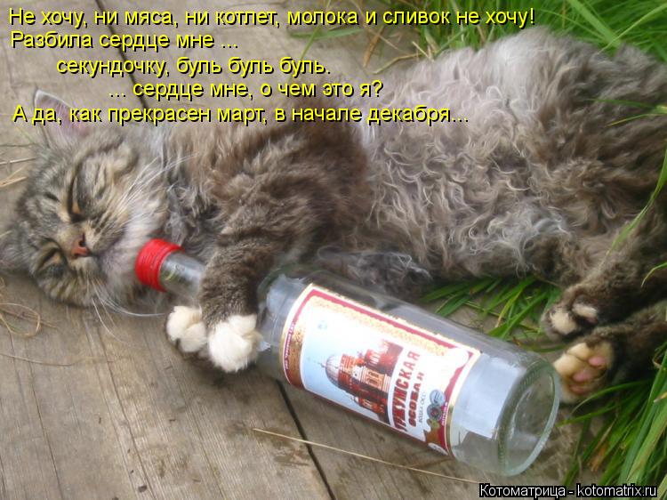 Не хочу, ни мяса, ни котлет, молока и сливок не хочу! Разбила сердце мне ... секундочку, буль буль б... Котоматрица: Не хочу, ни мяса, ни котлет, молока и сливок не хочу! Разбила сердце мне ... секундочку, буль буль буль. ... сердце мне, о чем это я? А да, как прекр