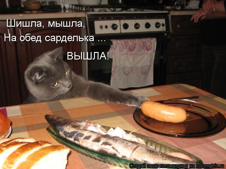 Шишла, мышла, На обед сарделька ... ВЫШЛА!... Котоматрица: Шишла, мышла, На обед сарделька ... ВЫШЛА!