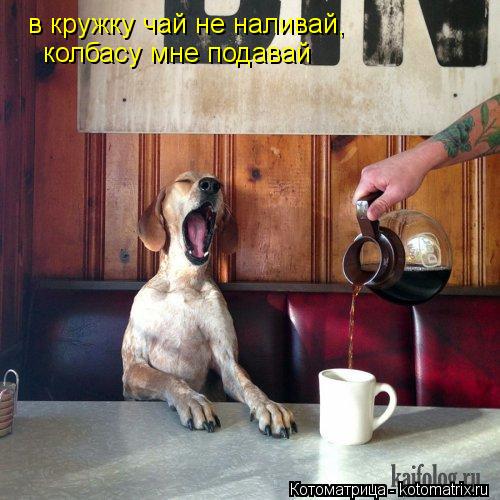 в кружку чай не наливай, колбасу мне подавай... Котоматрица: в кружку чай не наливай, колбасу мне подавай