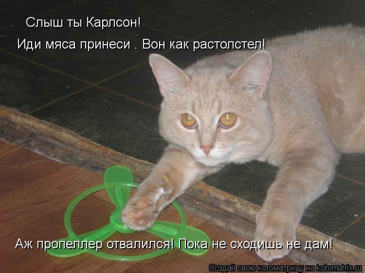 Слыш ты Карлсон! Иди мяса принеси . Вон как растолстел! Аж пропеллер отвалился! Пока не сходишь не да... Котоматрица: Слыш ты Карлсон! Иди мяса принеси . Вон как растолстел! Аж пропеллер отвалился! Пока не сходишь не дам!