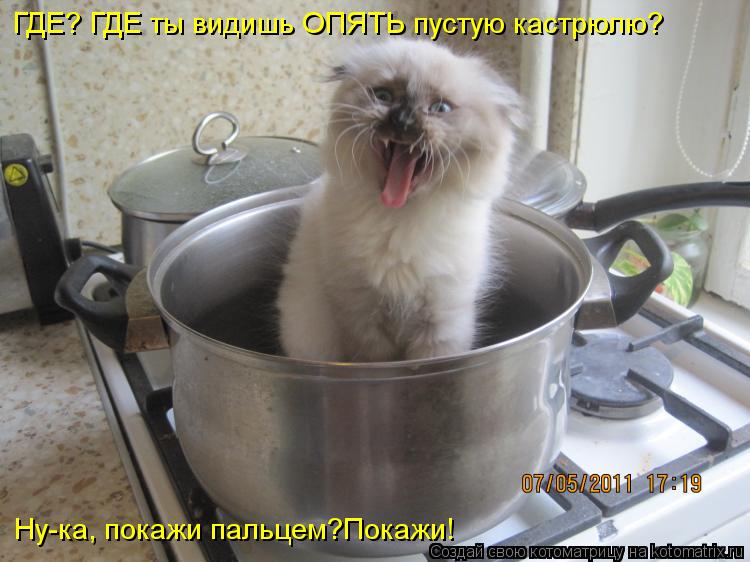 ГДЕ? ГДЕ ты видишь ОПЯТЬ пустую кастрюлю? Ну-ка, покажи пальцем?Покажи!... Котоматрица: ГДЕ? ГДЕ ты видишь ОПЯТЬ пустую кастрюлю? Ну-ка, покажи пальцем?Покажи!