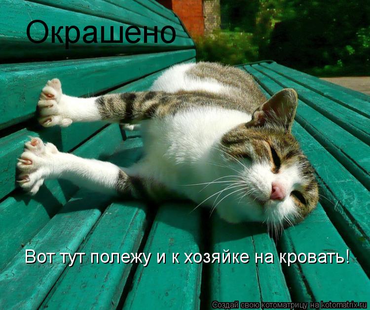 Окрашено Вот тут полежу и к хозяйке на кровать!... Котоматрица: Окрашено Вот тут полежу и к хозяйке на кровать!