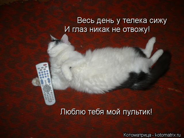 Весь день у телека сижу И глаз никак не отвожу! Люблю тебя мой пультик!... Котоматрица: Весь день у телека сижу И глаз никак не отвожу! Люблю тебя мой пультик!